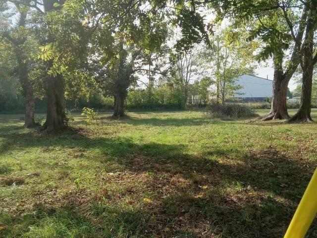 Land for sale in Mount Vernon, Illinois