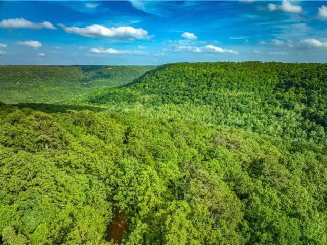 House for rent in Ark