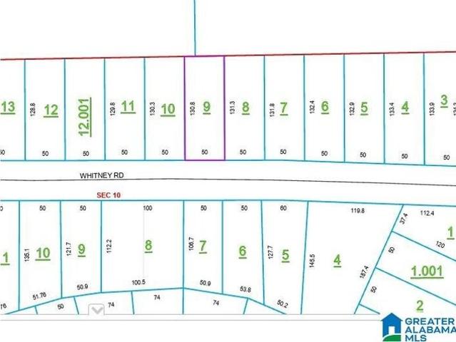 Land for sale in Ashville, Alabama
