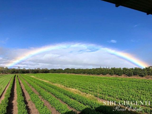 Cottage for sale in Arriga, Queensland
