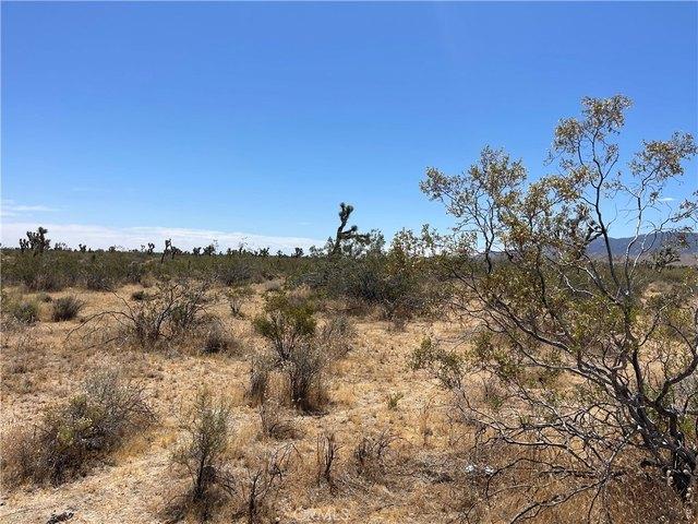Land for sale in California