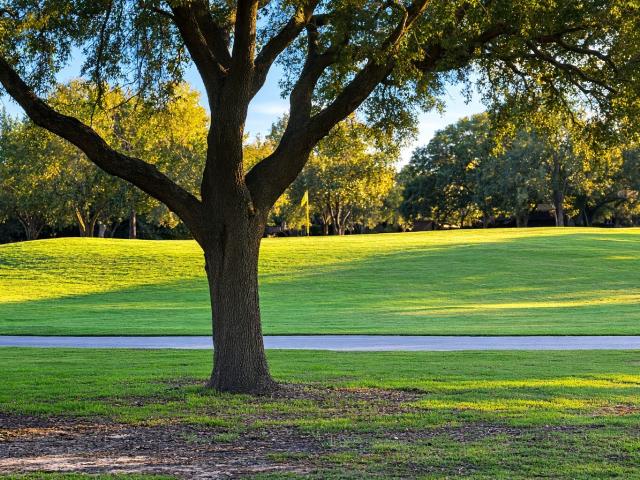House for sale in Katy, Texas