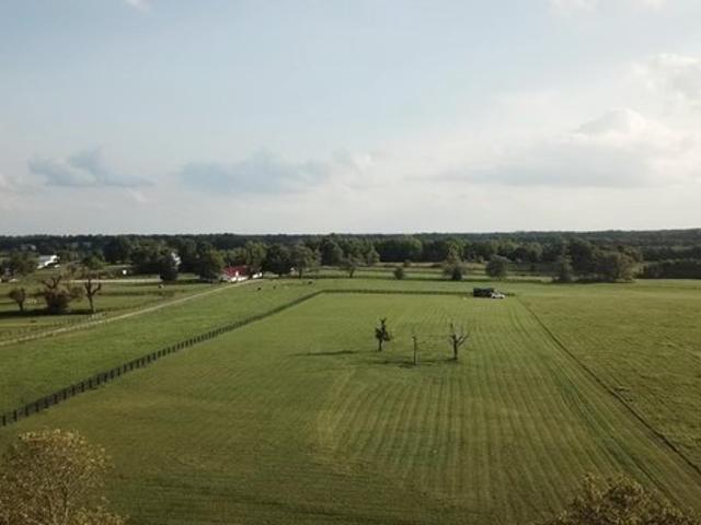 Land for sale in Georgetown, Scott County