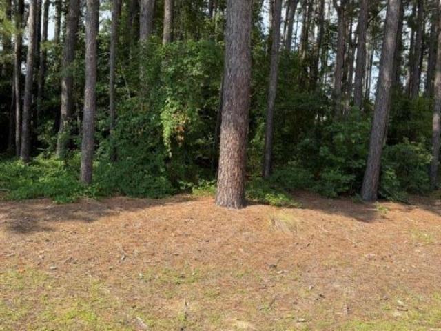 Land for sale in Sumter, South Carolina