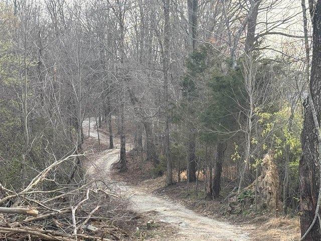 Land for sale in Adolphus, Kentucky