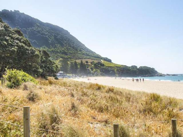 Apartment for sale in Bay Of Plenty