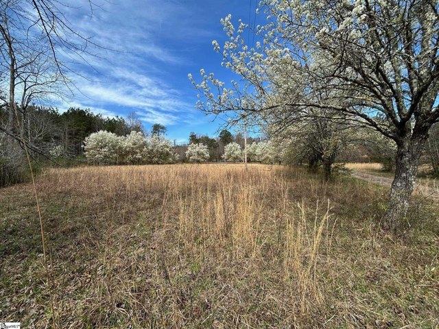 Land for sale in Pickens, South Carolina