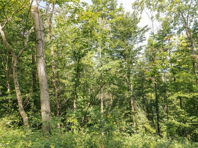 Land for sale in Heslop, Whipple