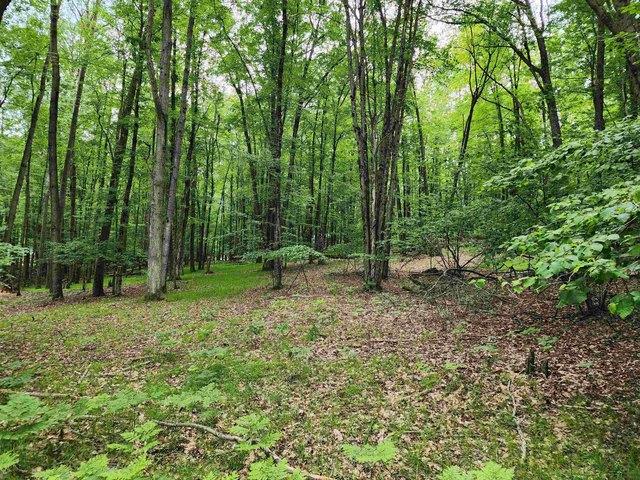 Land for sale in Clare, Michigan