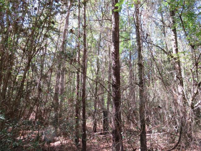 Land for sale in Garrison, Nacogdoches County
