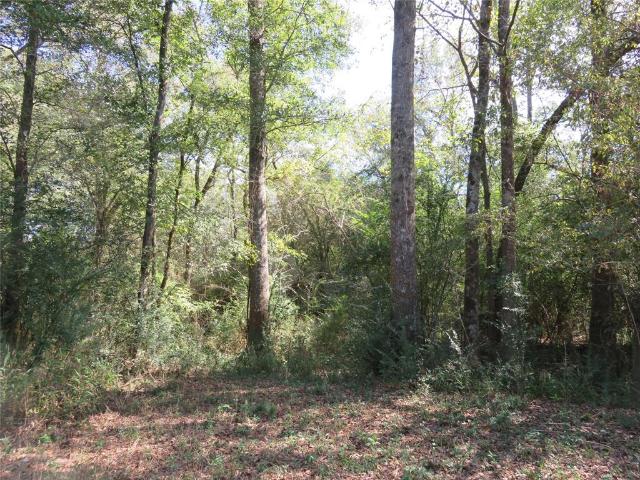 Land for sale in Garrison, Texas