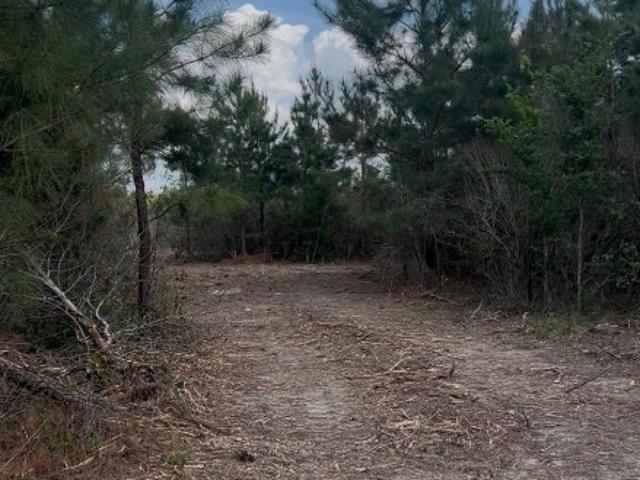Land for sale in Texas