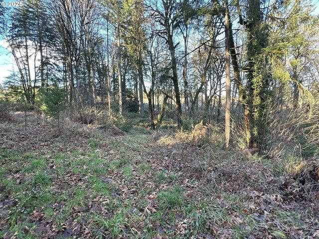 Land for sale in Sherwood, Washington County