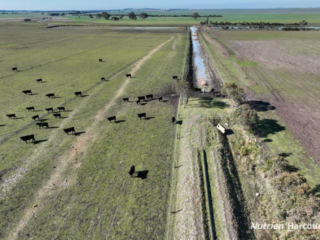 Property for sale in Winnindoo, Victoria