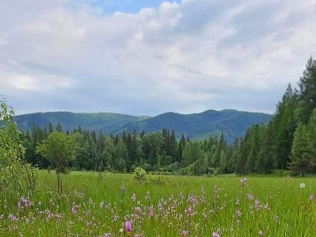 Land for sale in Columbia Falls, Montana