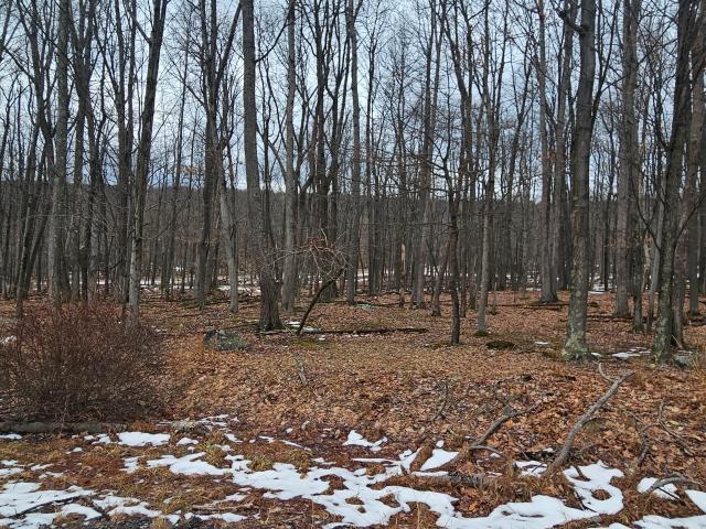 House for sale in Hazle Township, Luzerne County