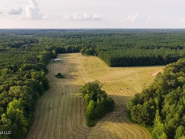 Land for sale in Mississippi