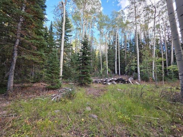 Land for sale in Brian Head, Iron County