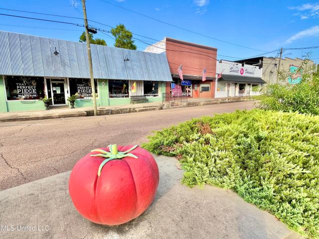 Commercial for sale in Crystal Springs, Mississippi
