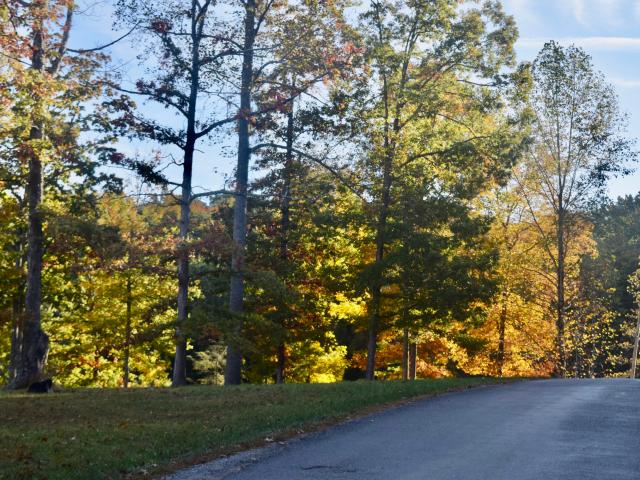 Land for sale in Graysville, Middle Tennessee