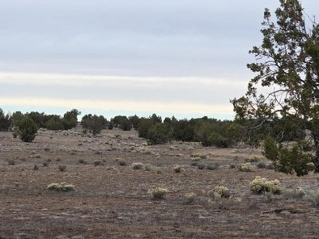 Land for sale in Ash Fork, Yavapai County