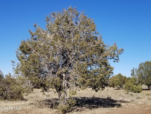 Land for sale in Ash Fork, Arizona