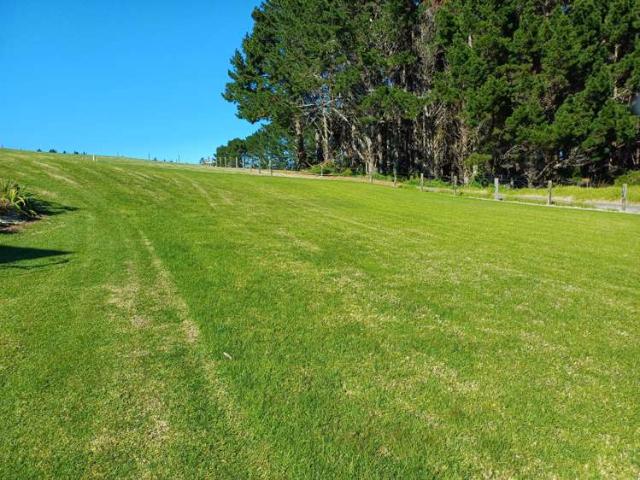 Land for sale in Kawhia, Waikato