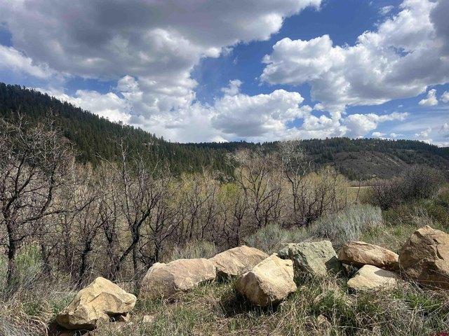Land for sale in Dolores, Montezuma County