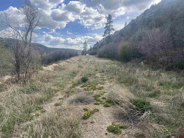 Land for sale in Montezuma, Colorado