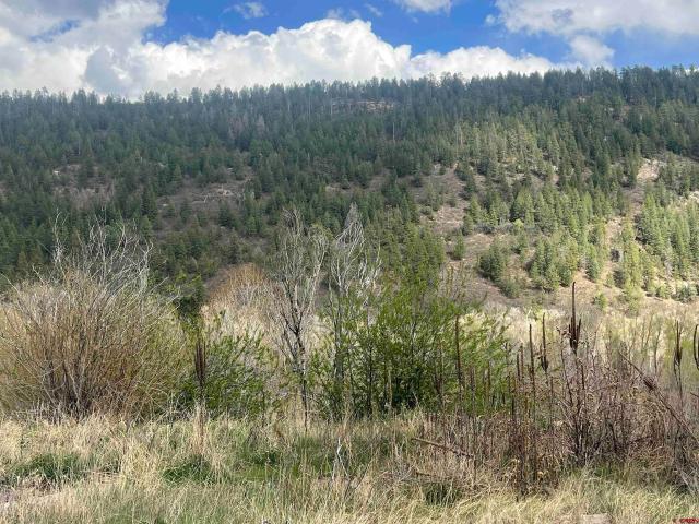 Land for sale in Montezuma, Colorado