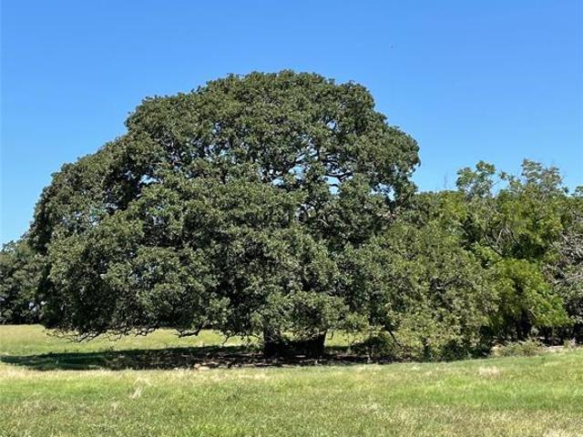 Land for sale in Fannin, Texas