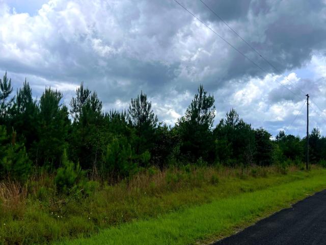 Land for sale in Cottageville, South Carolina