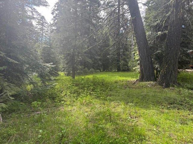 Land for sale in Donnelly, Idaho