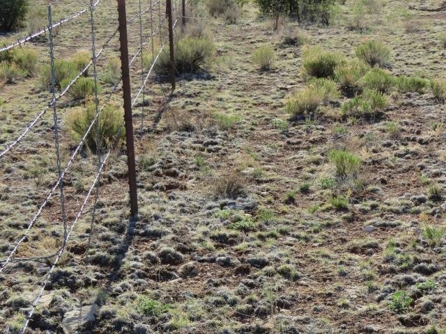 Land for sale in Williams, Arizona