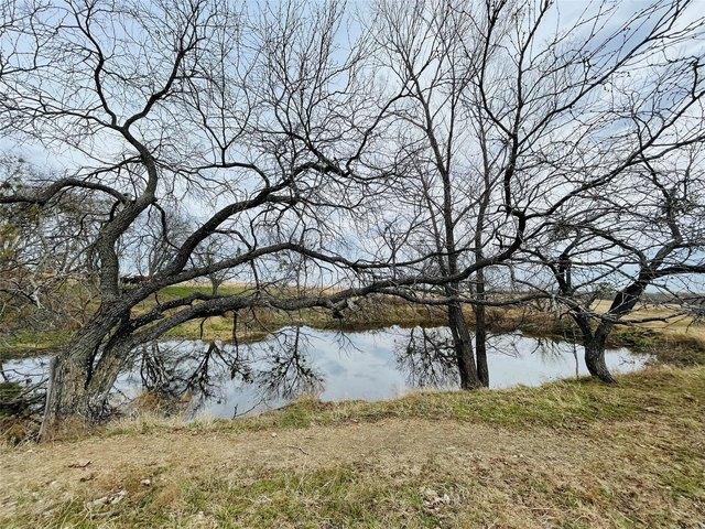 Land for sale in Navarro, Texas