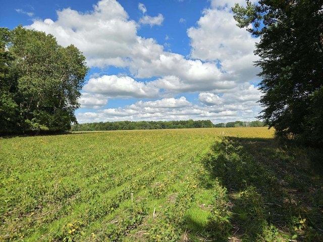 Land for sale in Cedar Springs, Kent County