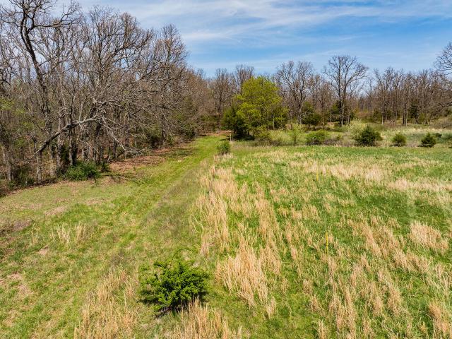 Land for sale in Pierce City, Missouri