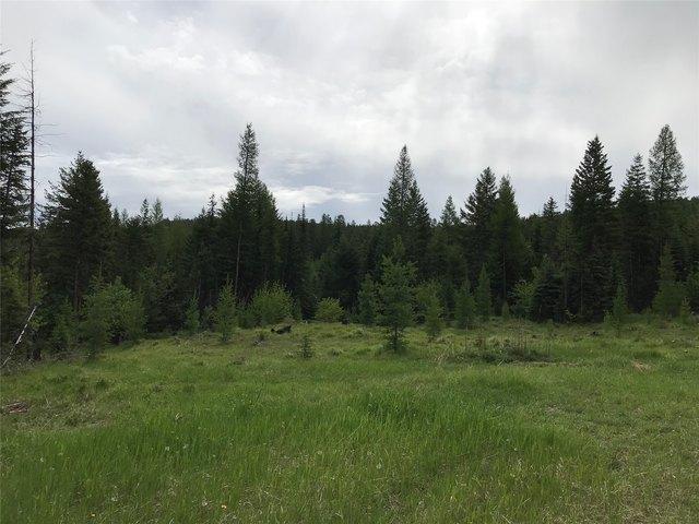 Land for sale in Trego, Montana