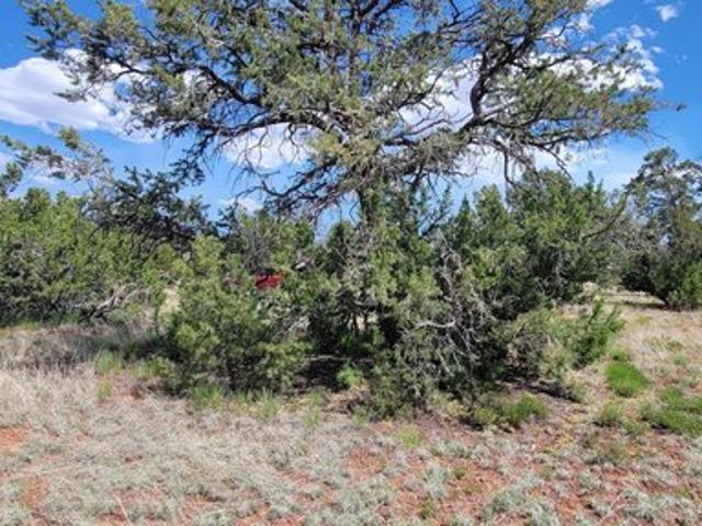 Land for sale in Williams, Arizona
