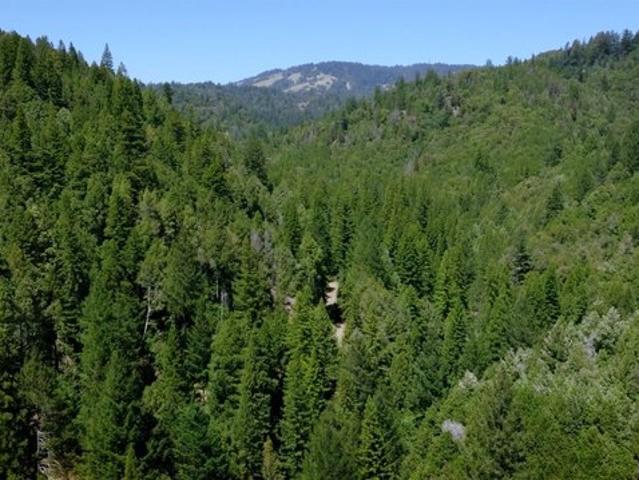Land for sale in Cazadero, California