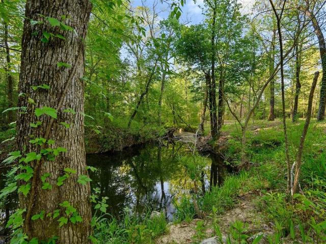 Land for sale in Mount Herman, Broken Bow