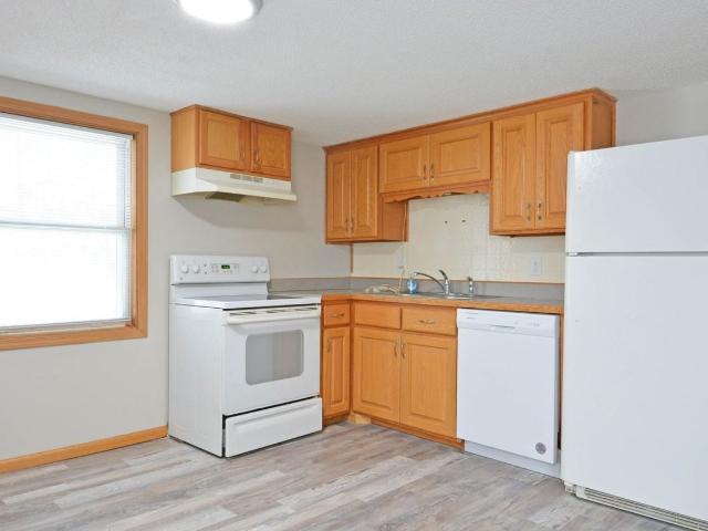 Apartment for rent in Anoka, Minnesota