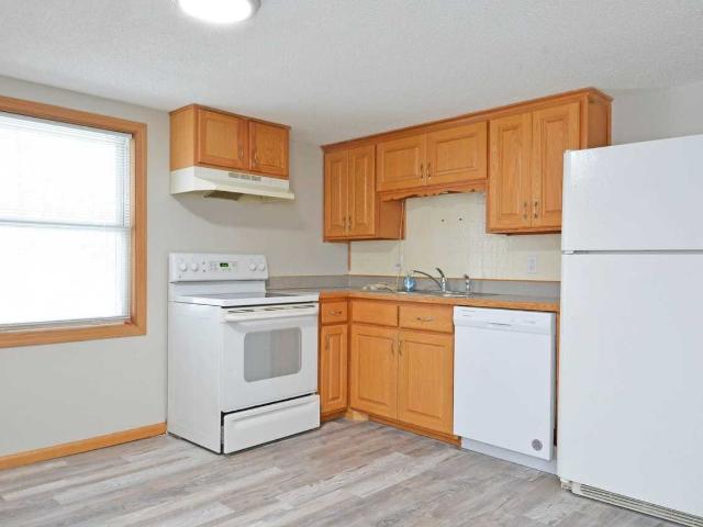 Apartment for rent in Anoka, Minnesota