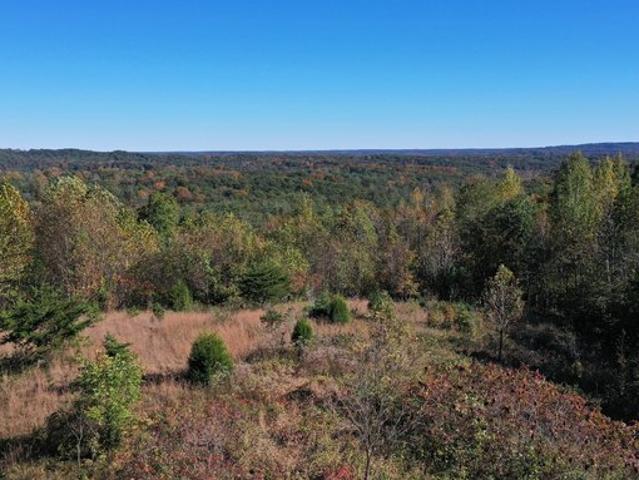 Land for sale in Nashville, Brown County