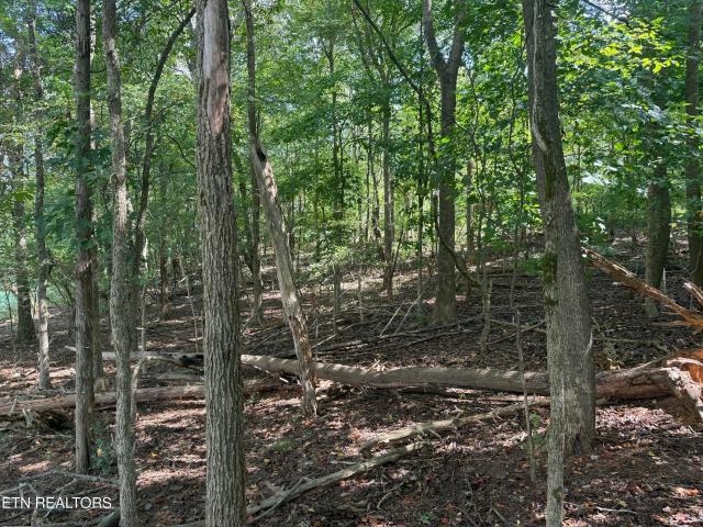 Land for sale in Martel, Lenoir City