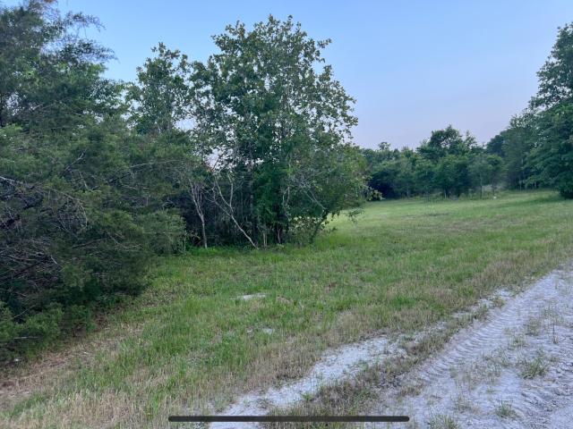 Land for sale in Bedias, Grimes County