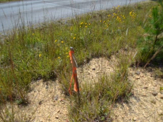 Land for sale in Monterey, Middle Tennessee