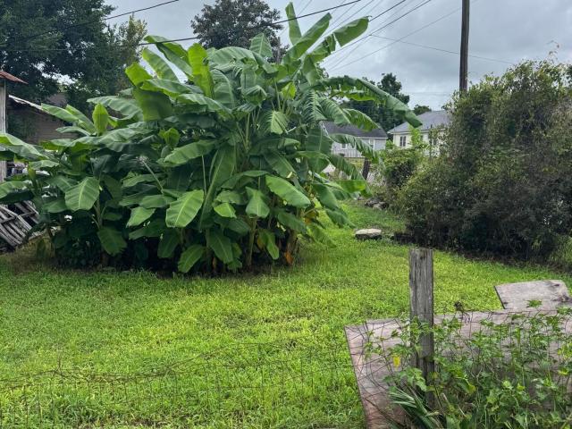 Land for sale in Dorchester, South Carolina