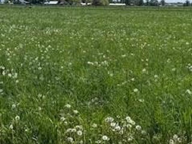 Land for sale in Rexburg, Idaho