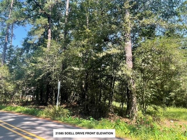 Land for sale in Abita Springs, Louisiana